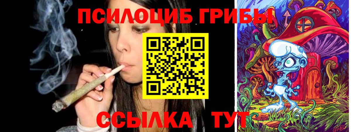где купить наркоту  Вход с VPN  Нерюнгри  Псилоцибиновые грибы мицелий 